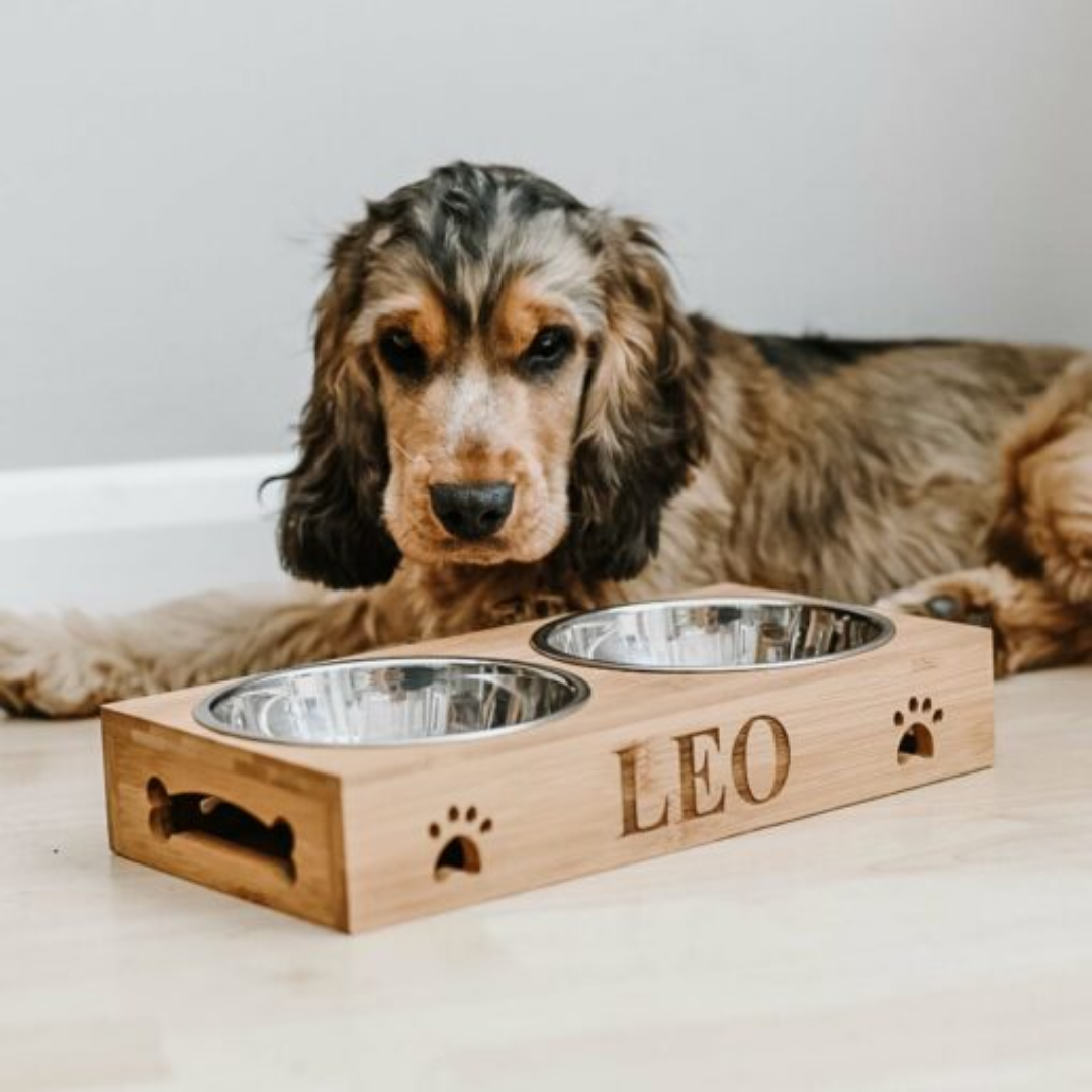 Personalized Bamboo Pet Bowls