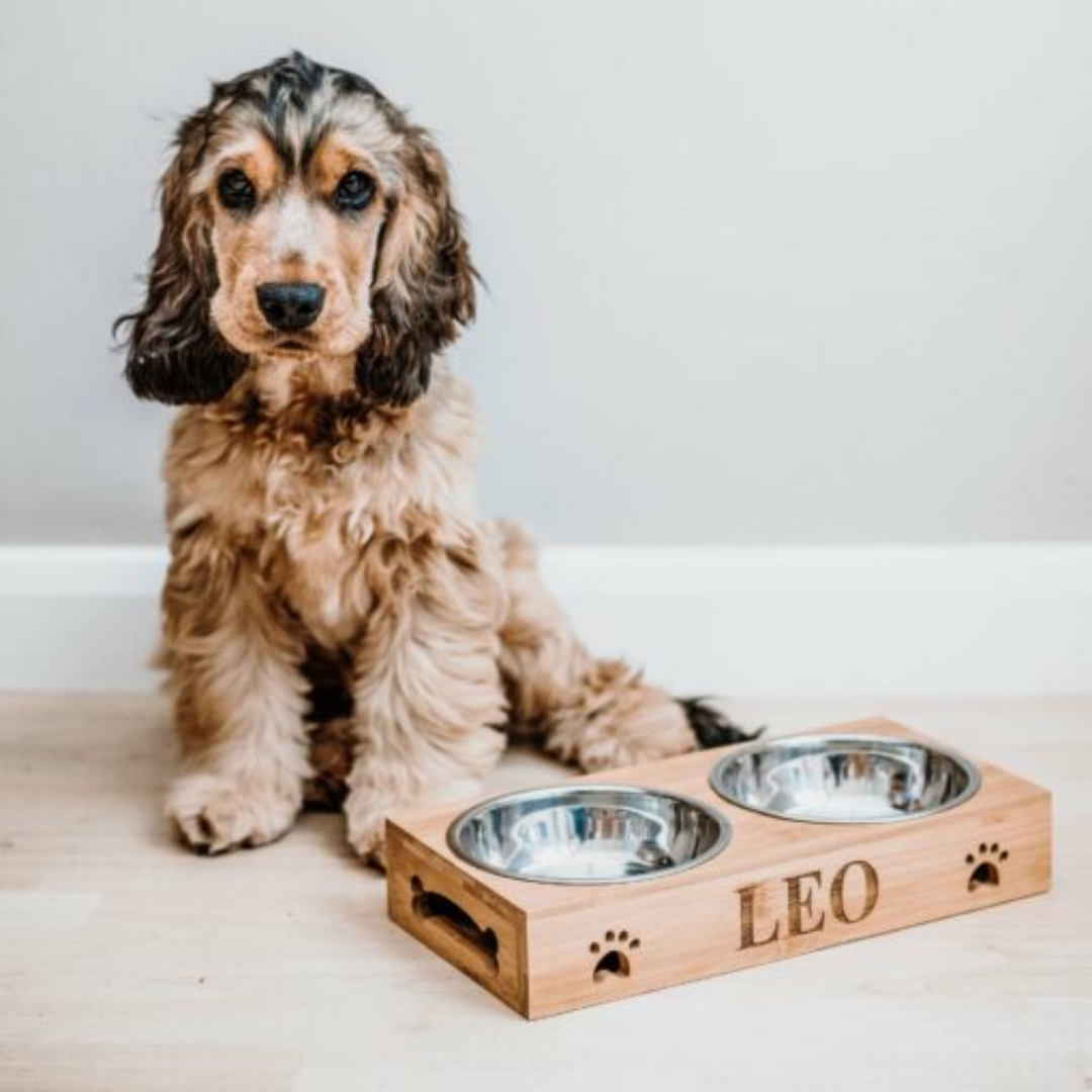 Personalized Bamboo Pet Bowls