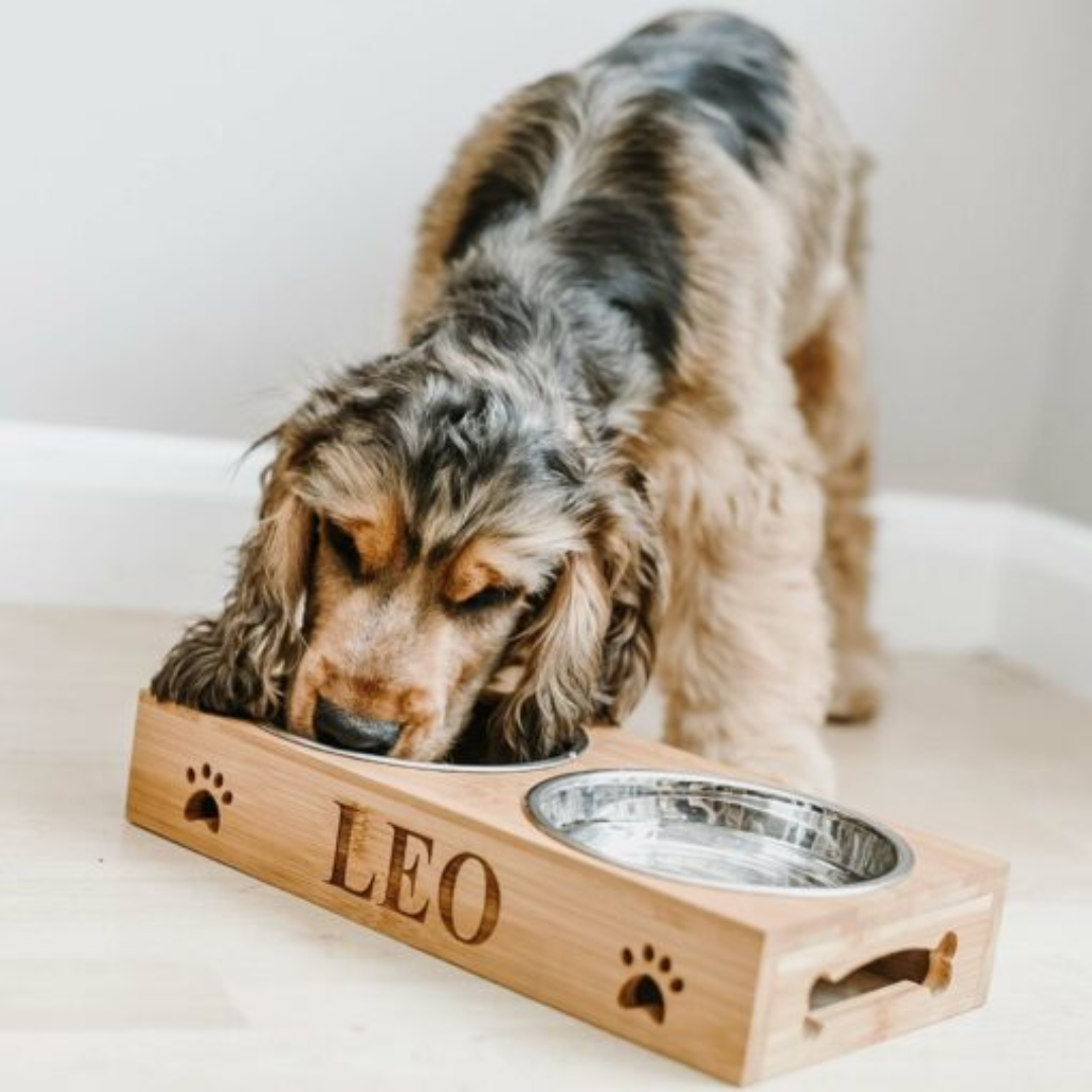 Personalized Bamboo Pet Bowls